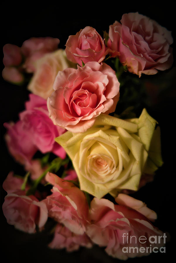  Pink Rose Bouquet 3 Photograph by Tara Shalton