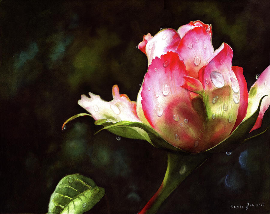 Rose Painting - Pink Rose Bud With Dewdrops by Doris Joa