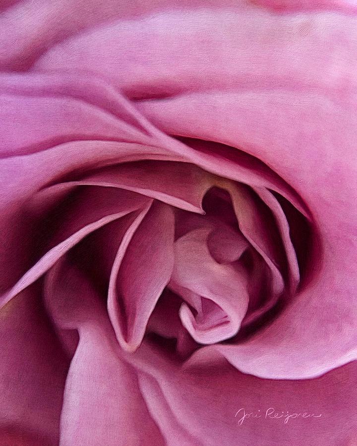 Pink Rose Closeup  Photograph by Jori Reijonen