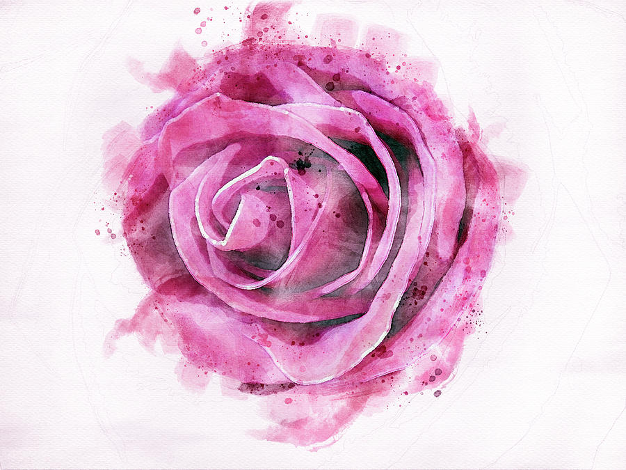Pink rose Digital art by Edita Edith Anna Brus Pink rose Digital art by Edita Edith Anna Brus