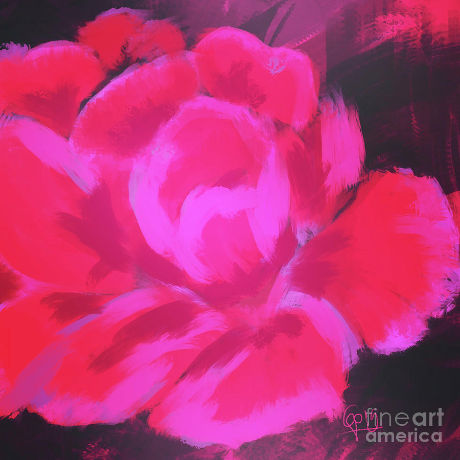 Pink Rose Painting by Go Van Kampen
