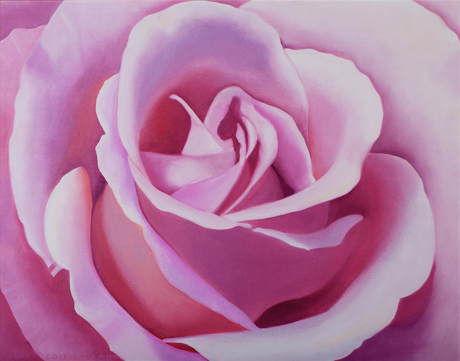 Pink Rose Painting Photograph by Layland Masuda