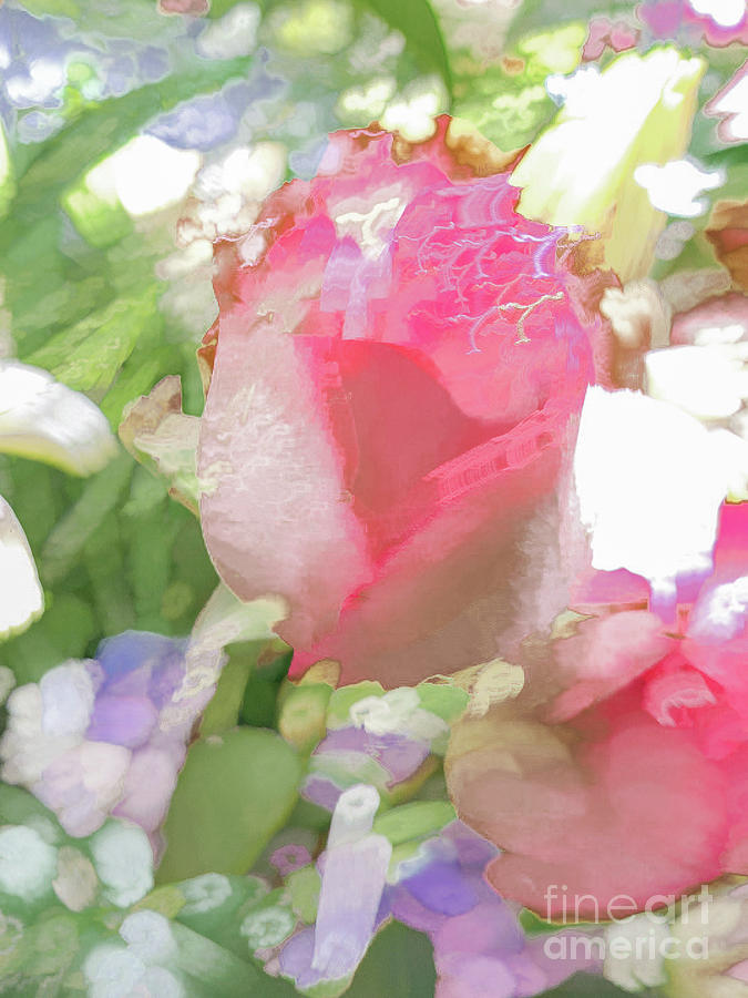 Pink Rose Pastel Abstract Photograph by Phillip Rubino
