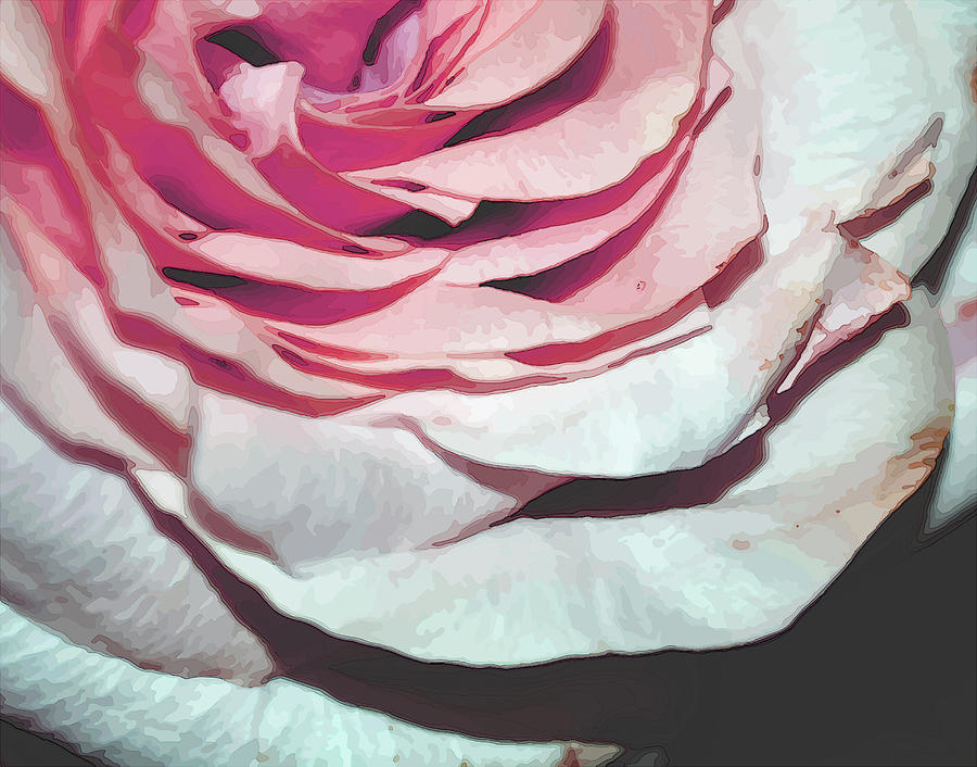 Pink Rose - Painterly Effect Mixed Media by Rebecca Carr