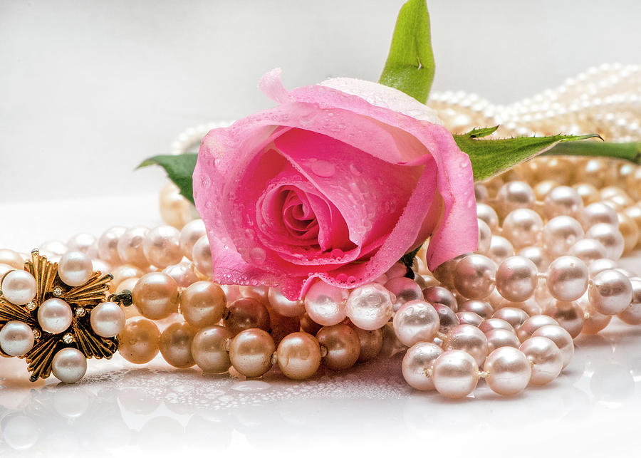 Pink Rose With Vintage Pearls Photograph by Cordia Murphy