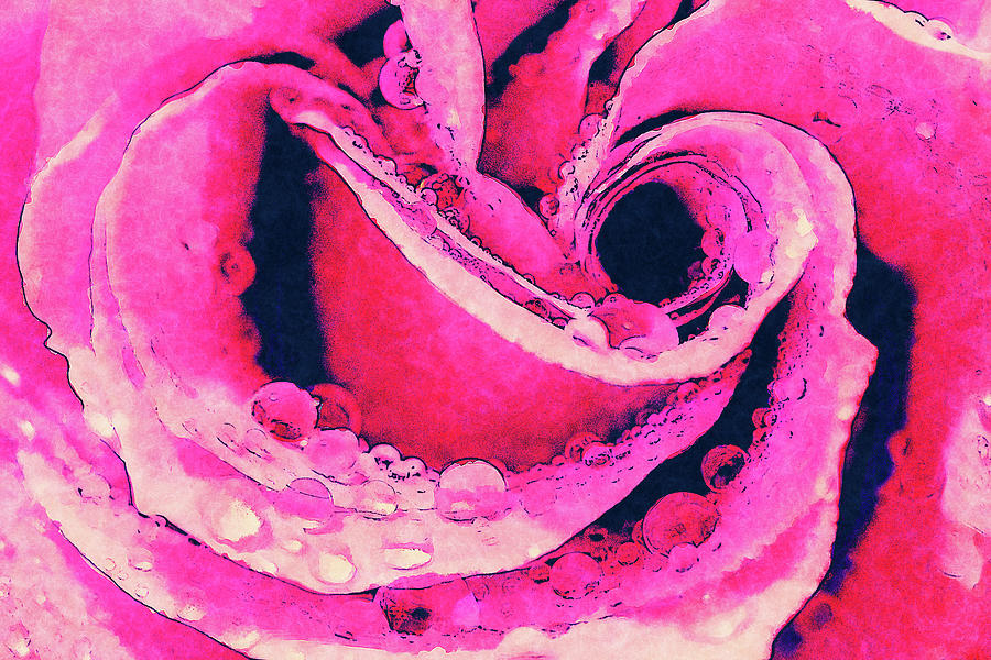 Pink Rose with Water Droplets FX Digital Art by Dan Carmichael