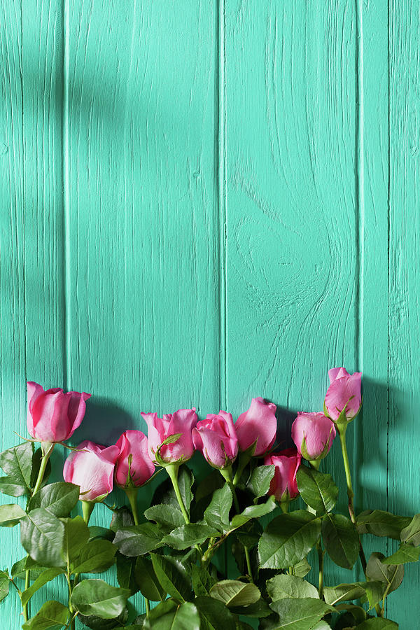 Pink Roses Against An Old Wooden Board Photograph by Enviromantic