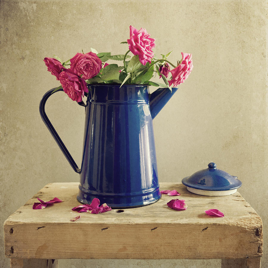 Pink Roses And Blue Jug Photograph by Copyright Anna Nemoy(xaomena)
