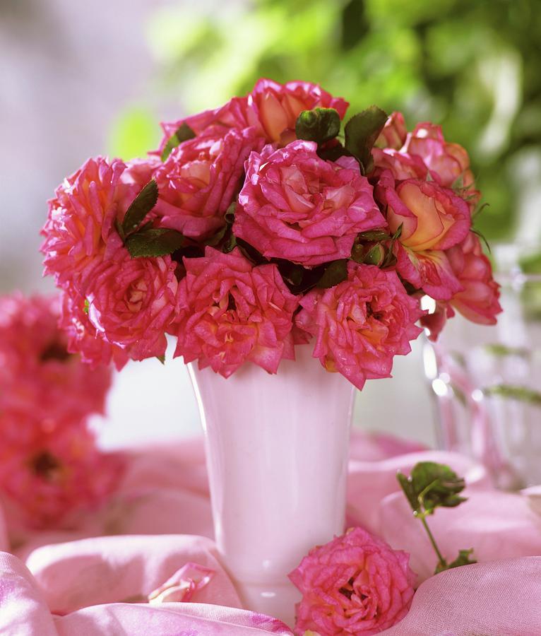 Pink Roses In A Vase Photograph by Friedrich Strauss - Fine Art America