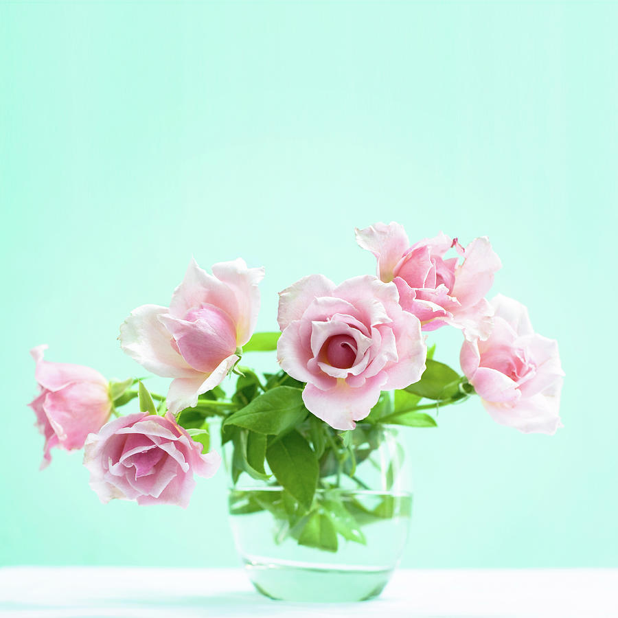 Pink Roses In A Water Glass Photograph by Nga Nguyen