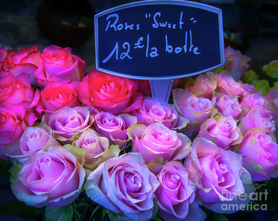 Pink Roses in Paris Photograph by Rose Palmisano - Pixels