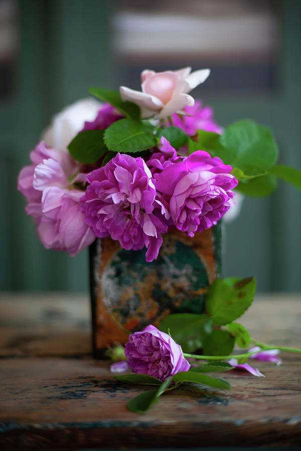 Pink Roses In Vintage Vase Photograph by Alicja Koll