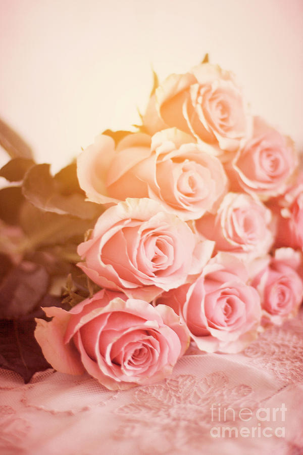 Pink Roses Lying On A Table Photograph by Ethiriel Photography