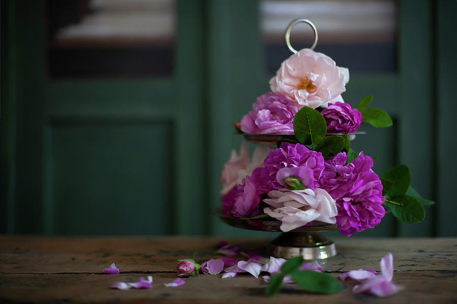 Pink Roses On Cake Stand Photograph by Alicja Koll
