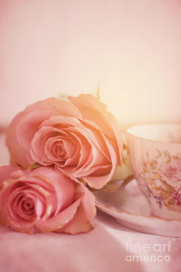 Pink Roses With A Teacup Photograph by Ethiriel Photography