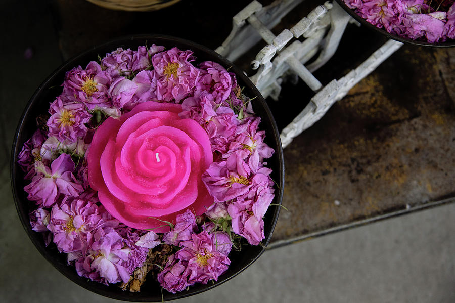Pink Roses with rose candle on a container Photograph by Michalakis Ppalis