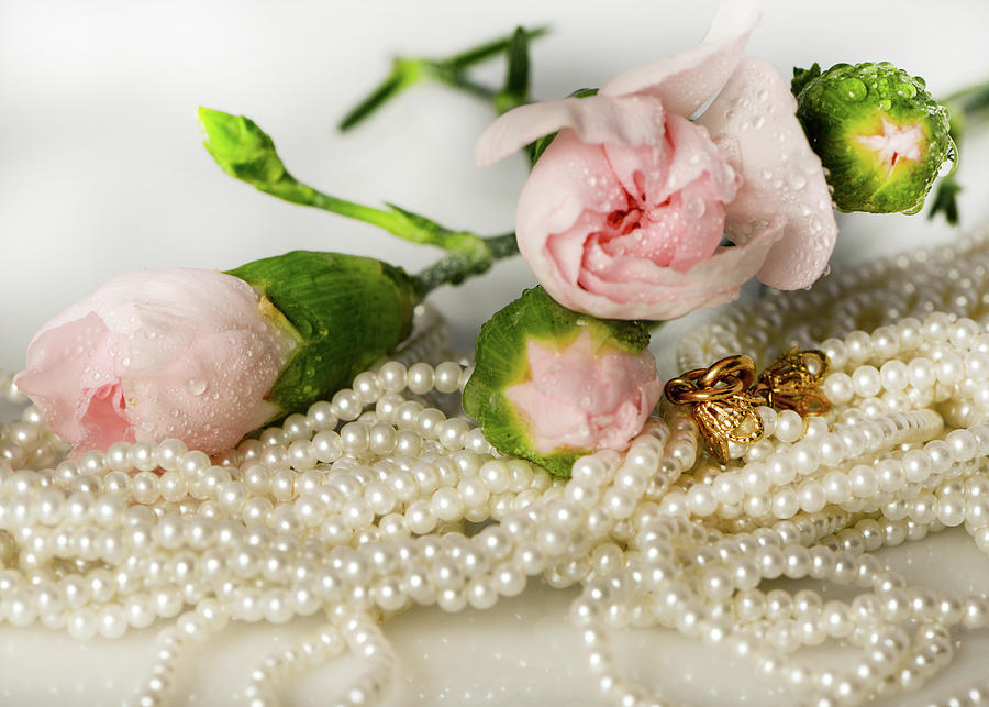 Pink roses with vintage pearls. Photograph by Cordia Murphy