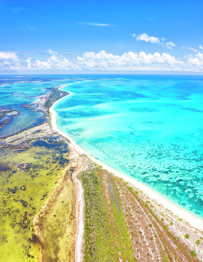 Pink Sand Beach And Codrington Lagoon, Aerial View, Barbuda, Caribbean