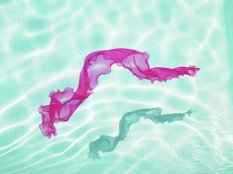 Pink Scarf Floating In Swimming Pool Photograph by Siri Stafford