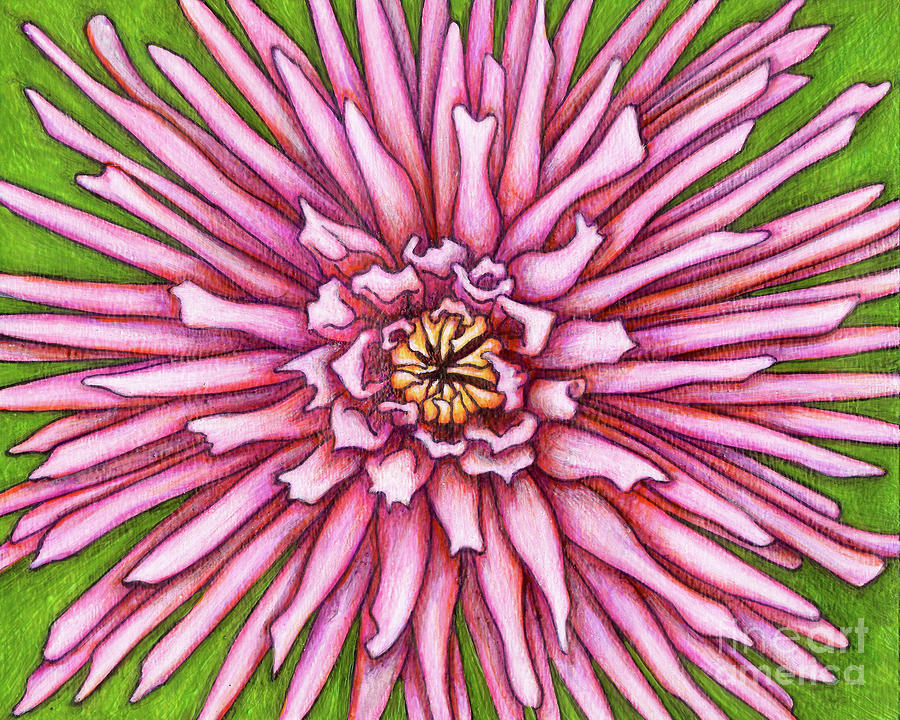 Pink Semi Cactus Dahlia Painting by Amy E Fraser