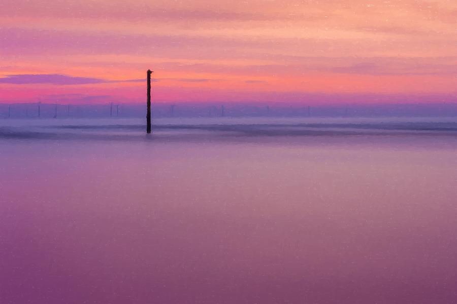 Pink Skies Over The Irish Sea Photograph By Paul Madden
