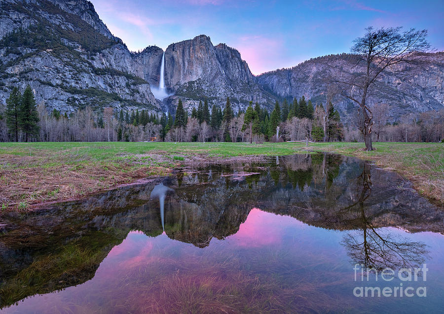 Pink Sky and Reflections Over Yosemite Photograph by Mimi Ditchie