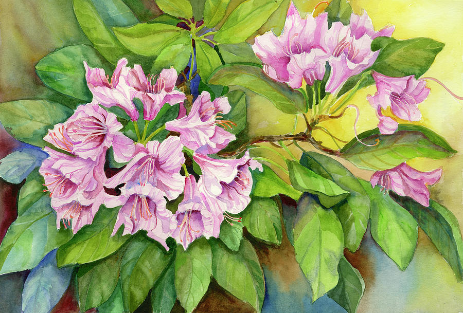 Flower Painting - Pink Sunlit Azalea by Joanne Porter