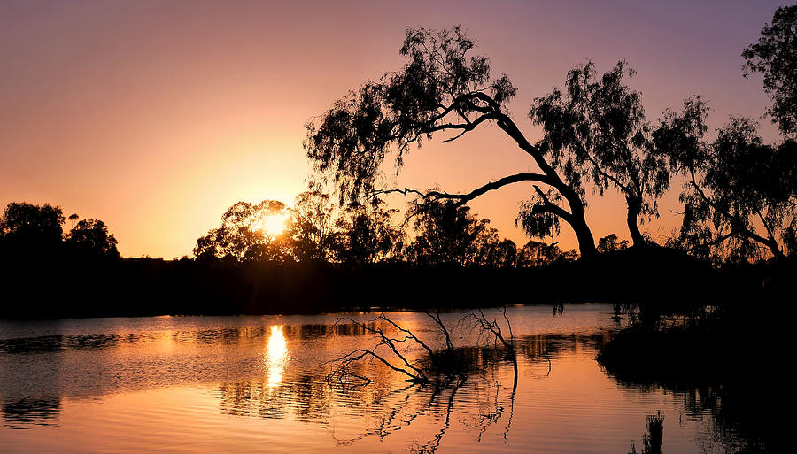 Pink Sunrise on the Murray  Photograph by Lexa Harpell