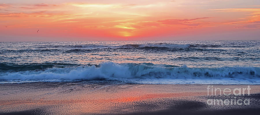 Pink Sunrise Panorama Photograph