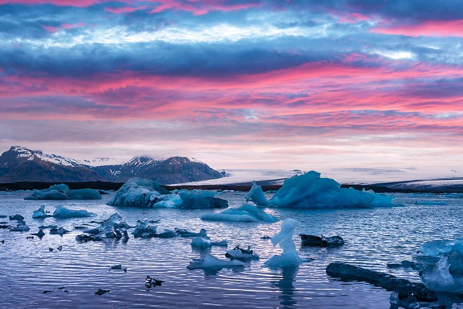 Nature Photograph - Pink Sunset And Icebergs In Jokulsarlon by Ivan Kmit