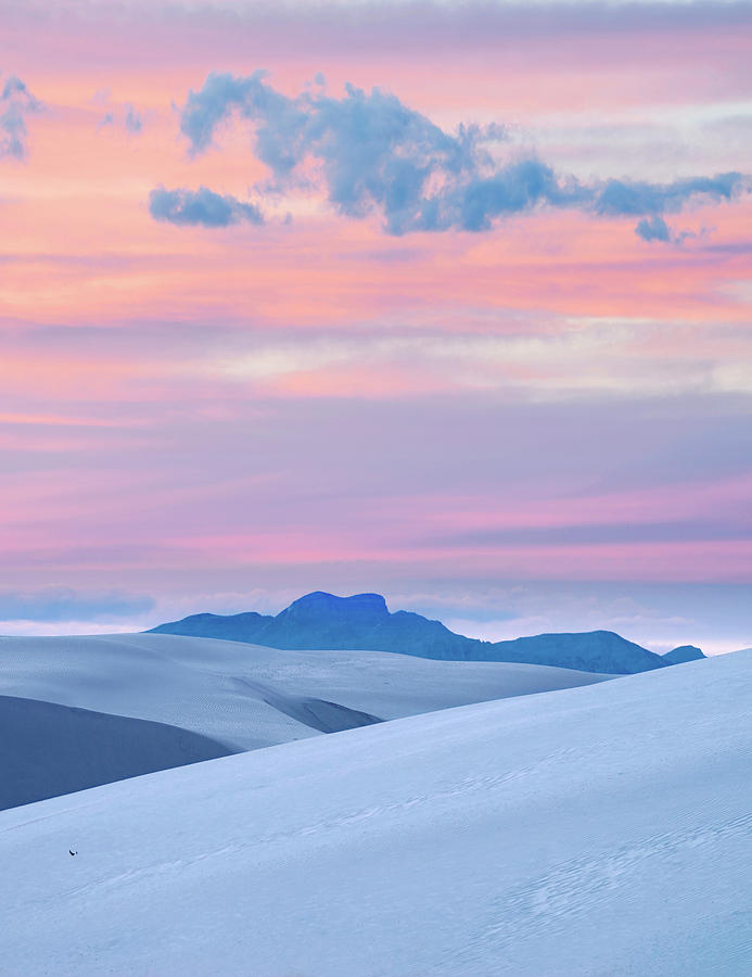 Pink Sunset, White Sands Nm, New Mexico Photograph by Tim Fitzharris