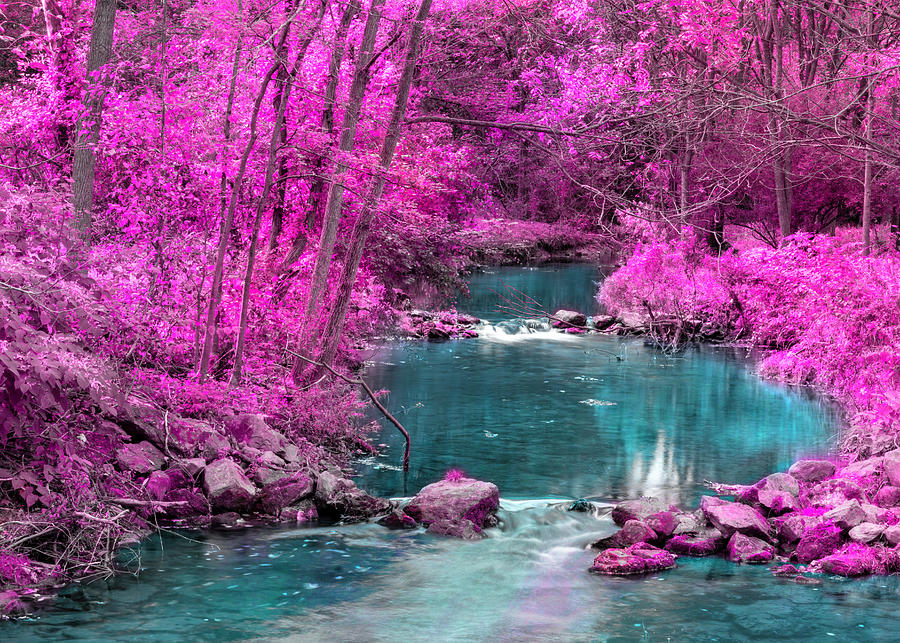 Pink Trees Blue Stream by Jason Fink Pink Trees Blue Stream by Jason Fink
