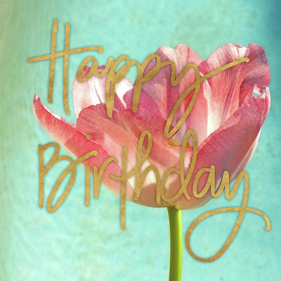 Tulip Photograph - Pink Tulip Birthday by Gail Peck
