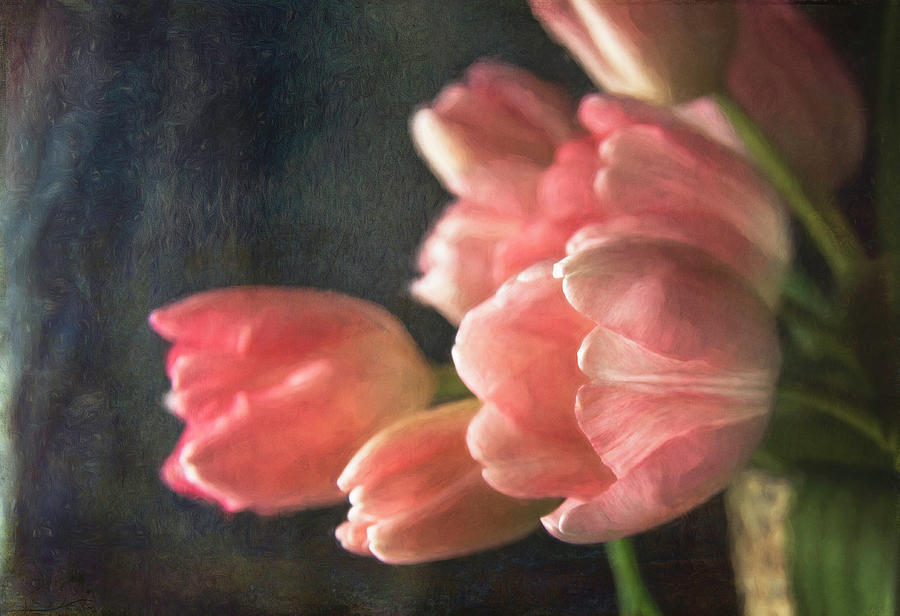 Pink Tulip Bouquet Photograph by Cindi Ressler