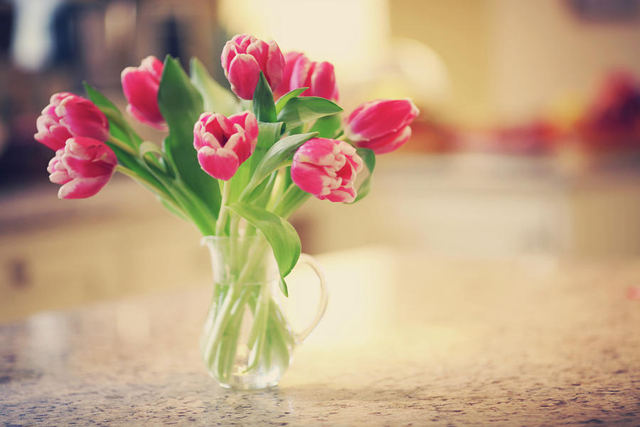 Pink Tulips In Glass Jug Photograph by Olivia Bell Photography
