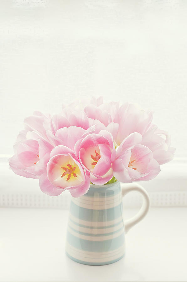 Pink Tulips In Jug Photograph by Skcphotography