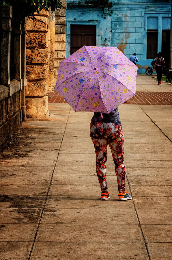 Pink Umbrella Photograph by Tom Singleton