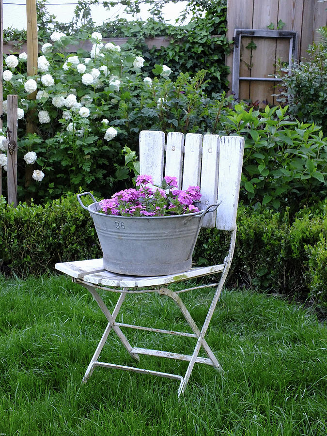 Pink Verbena On Old Garden Chair In Front Of Box Hedge And Viburnum Bush Photograph by Susan Haag