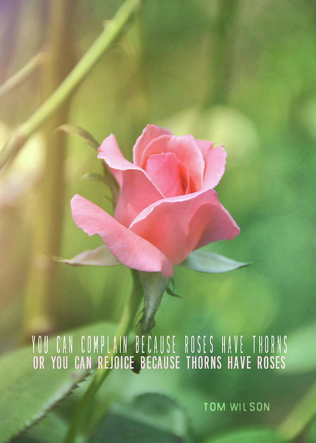 PINKEST PINK quote Photograph by JAMART Photography