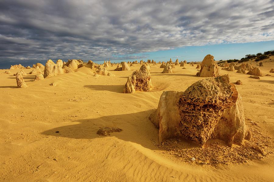 Pinnacles Desert In Australia Digital Art by Roland Gerth