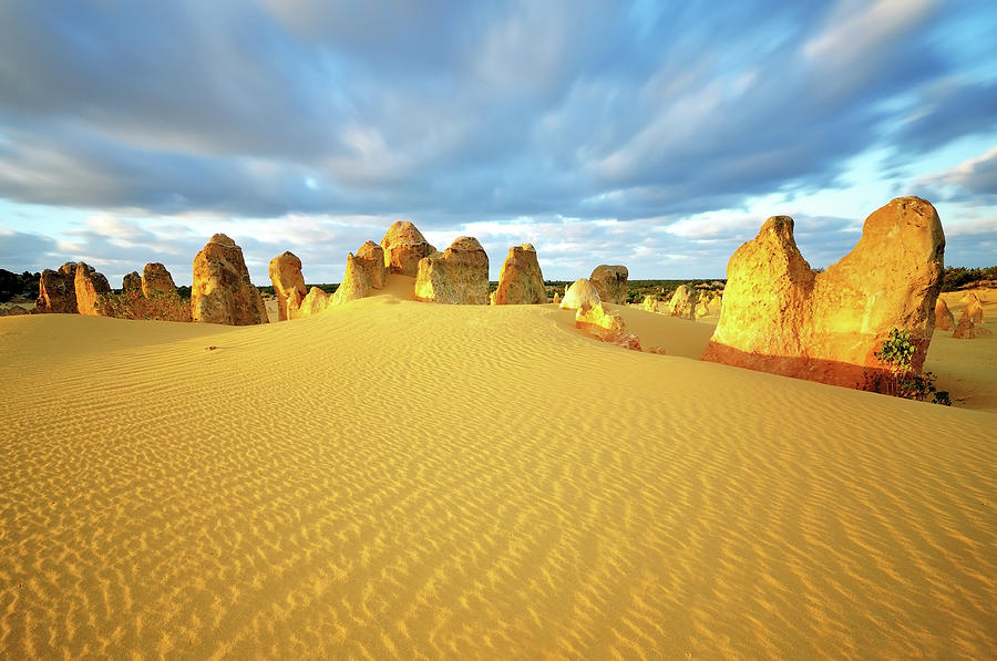 Pinnacles Desert Photograph by Nora Carol Photography