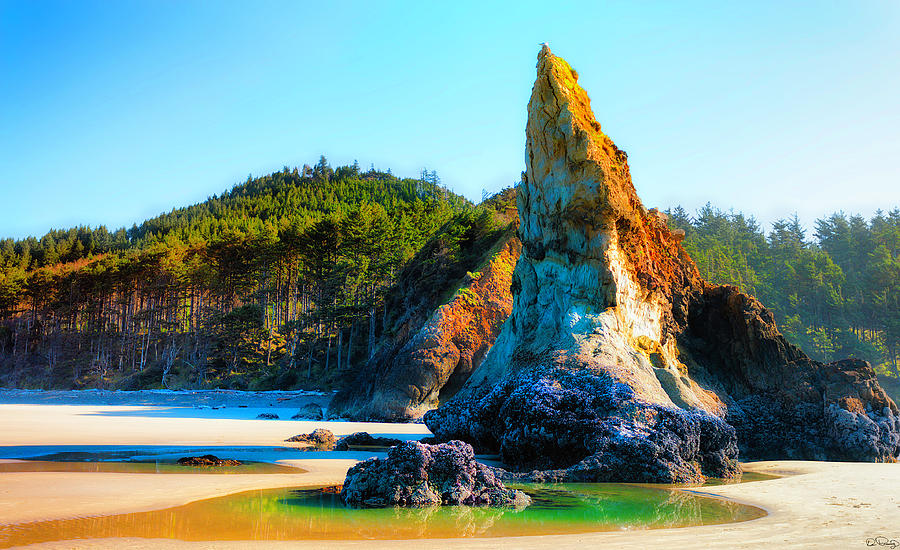 Pinnacles Tide Pool on Oregon Coast Photograph by Dee Browning