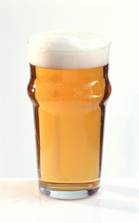 Pint Of Guinness Photograph by Maximilian Stock Ltd/science Photo