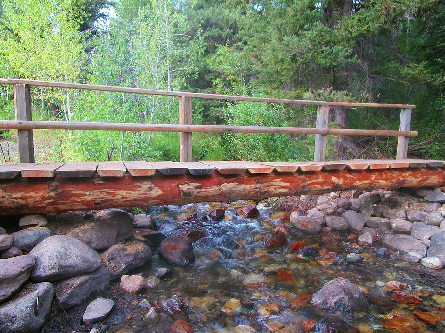 Pioneer Cabin Trail Head Photograph By Dan Dixon