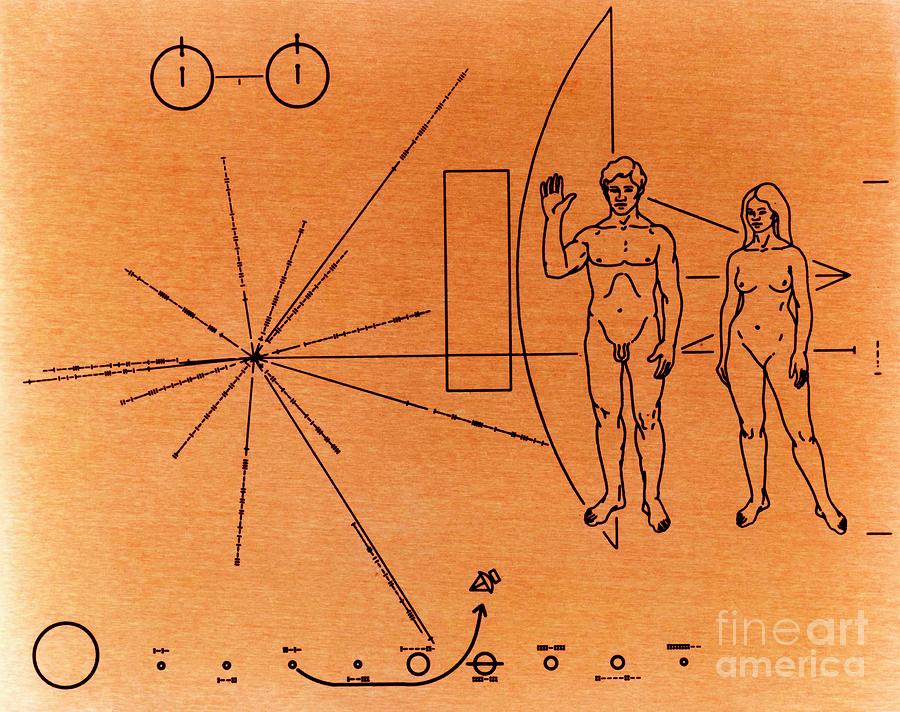 Pioneer Plaque Diagram Photograph by Nasa/science Photo Library