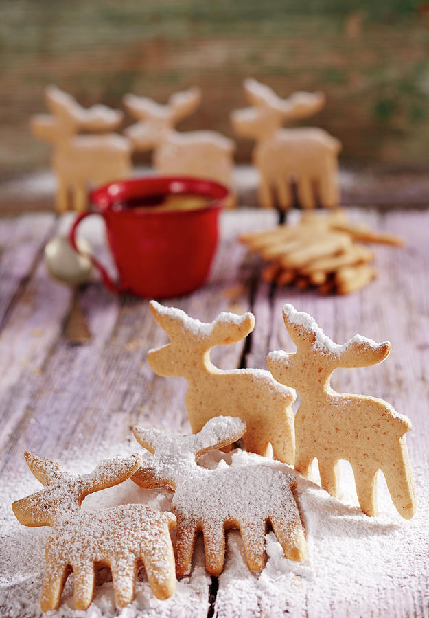 Piparkoekur pepper Biscuits, Iceland Shaped Like Elk Photograph by Teubner Foodfoto