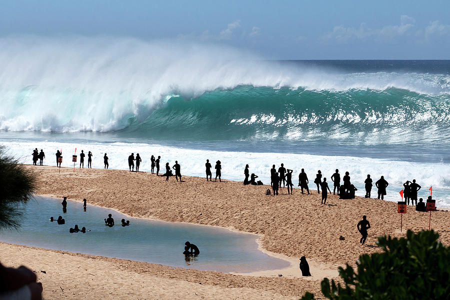 Pipeline Frenzy Photograph by Sean Davey