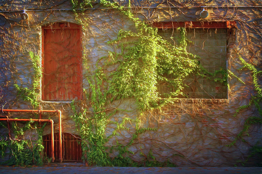 Pipes, Windows, and Ivy Photograph by Nikolyn McDonald