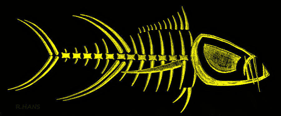 Piranha Bonefish Yellow Photograph by Rob Hans
