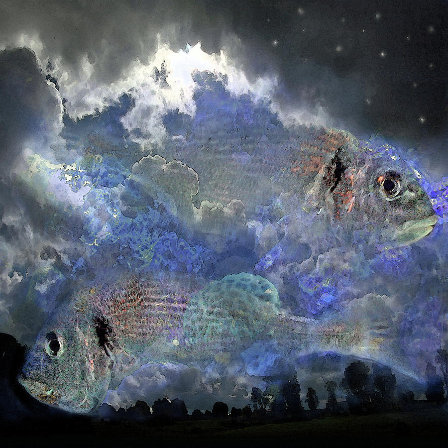 Pisces by Guy Ciarcia Pisces by Guy Ciarcia